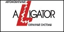 Alligator